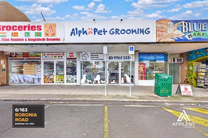 6/163 BORONIA ROAD, Boronia VIC 3155